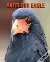 Capa do artigo Bateleur Eagle