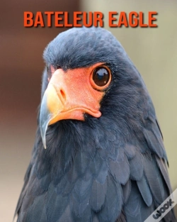 Capa do artigo Bateleur Eagle