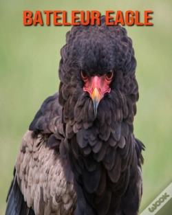 Capa do artigo Bateleur Eagle