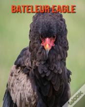 Bateleur Eagle