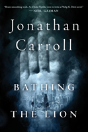 Bathing The Lion - Preview