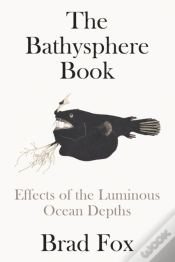 Capa do artigo Bathysphere Book