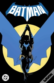 Capa do artigo Batman Vol. 1: Daylight