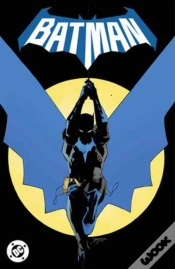 Capa do artigo Batman Vol. 1: Daylight