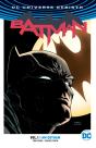 Batman Vol. 1: I Am Gotham - Preview