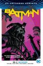 Batman Vol. 2: I Am Suicide - Preview