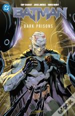 Batman Vol. 4: Dark Prisons