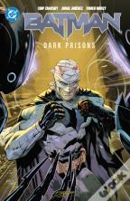 Batman Vol. 4: Dark Prisons