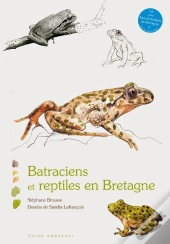 Batraciens Et Reptiles En Bretagne