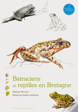 Capa do artigo Batraciens Et Reptiles En Bretagne