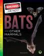 Bats And Other Mammals - Preview