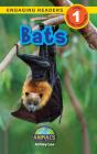 Bats - Preview