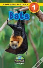 Capa do artigo Bats