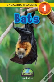 Capa do artigo Bats