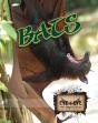 Bats - Preview