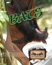 Capa do artigo Bats