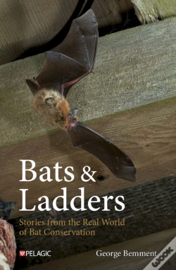 Capa do artigo Bats & Ladders
