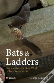 Capa do artigo Bats & Ladders