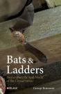Bats & Ladders - Preview