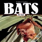 Bats For Kids