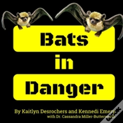 Capa do artigo Bats In Danger