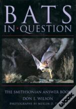 Bats In Question