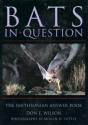 Bats In Question - Preview