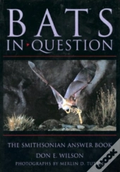 Bats In Question