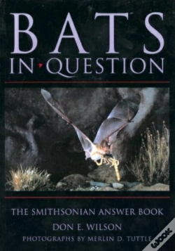Capa do artigo Bats In Question