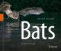 Bats - Preview