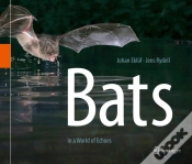 Capa do artigo Bats