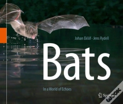 Capa do artigo Bats
