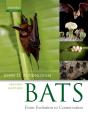 Bats - Preview