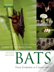 Capa do artigo Bats