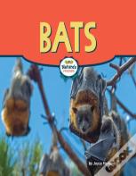 Bats
