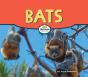 Bats - Preview