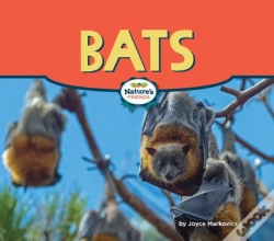 Capa do artigo Bats