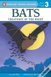 Capa do artigo Bats