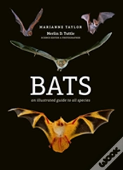Capa do artigo Bats