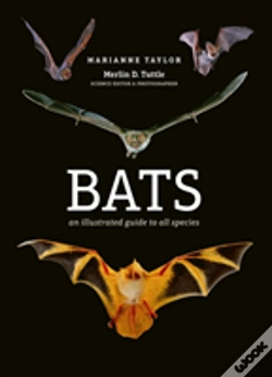 Capa do artigo Bats