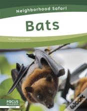 Capa do artigo Bats