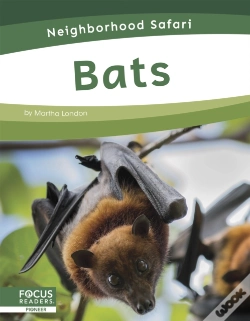 Capa do artigo Bats