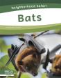 Bats - Preview