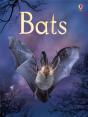 Bats - Preview