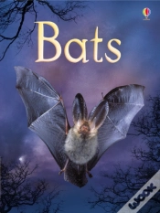 Capa do artigo Bats