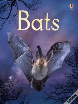 Capa do artigo Bats