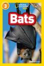 Bats - Preview