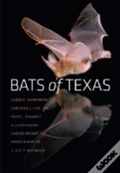 Capa do artigo Bats Of Texas