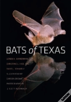 Capa do artigo Bats Of Texas