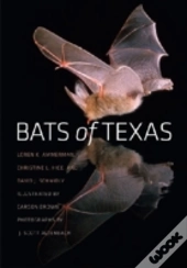 Bats Of Texas